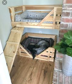 a wooden bunk bed with two dogs sleeping on it's bottom and underneath the stairs