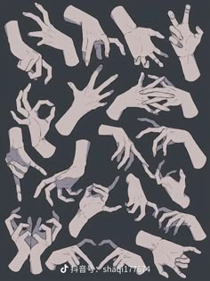 an image of many hands in different positions