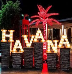 a lighted sign that says havana with a palm tree