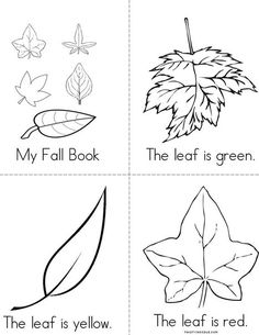 four leaf activities to teach children about leaves