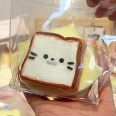 someone is holding up a sandwich shaped like a cat in a plastic bag that looks like a toaster