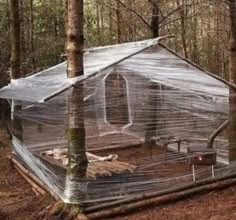 a house in the woods covered with plastic