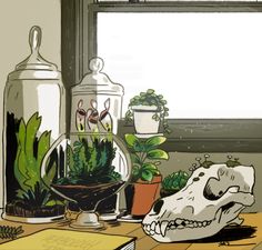 an animal skull sitting on top of a wooden table next to plants and potted plants