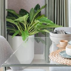 a glass table with plates and cups on it in front of a potted plant