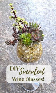 This fun and romantic DIY is done in two version - high glamour with sparkly fire glass, and a rust natural look with soil. I show you step-by-step how to plant them - and care for them! #wineglasscrafts #wineglasscraftsvalentinesday #succulentdiy #succulentsdiyideas #succulentsinwineglasses Grow Succulents, Fire Glass, Diy Garden Projects, Amazing Diy