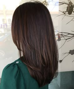 Platinový Blond, Fashionable Hairstyles, Dark Brown Highlights, Brown Straight Hair, Dark Hair With Highlights, Penteado Cabelo Curto, Normal Hair