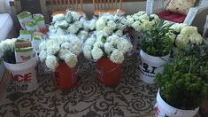 several buckets filled with white flowers sitting on top of a rug