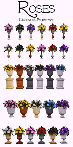 a bunch of vases with flowers in them on top of each other and the words roses