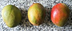 three mangoes sitting next to each other on top of a granite countertop,