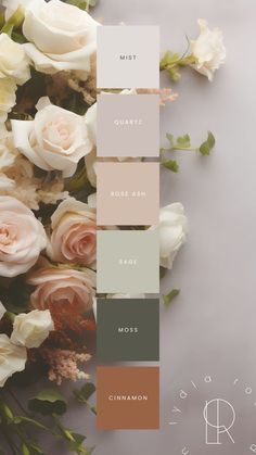 some white roses and green leaves on a gray background with the words, color scheme