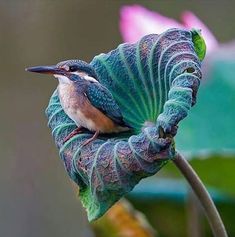 a bird sitting on top of a green leaf