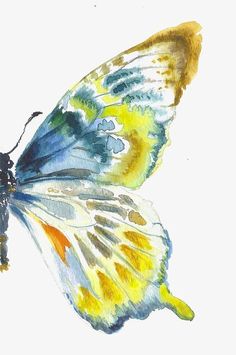 a painting of a colorful butterfly on a white background