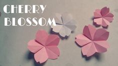 three pink and white paper flowers with the words cherry blossom on it in front of them