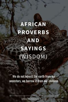 a leopard laying on top of a tree branch with the words african provers and sayings