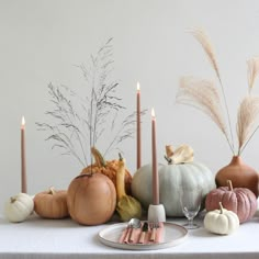 a table topped with lots of different types of pumpkins