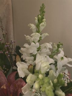 a vase filled with white and green flowers