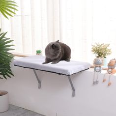 a gray cat sitting on top of a white table next to a potted plant