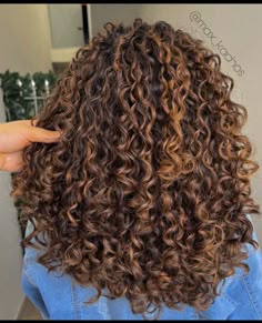 Brown Highlights In Curly Hair, Curly Golden Highlights, Curly Brown Hair With Light Brown Highlights, Red Pintura Highlights Curly, Dark Brown Hair With Highlights Curly Natural, Caramel Highlights On Curly Brown Hair, Carmel Curly Highlights, Carmel Highlights On Brown Hair Curly Hair