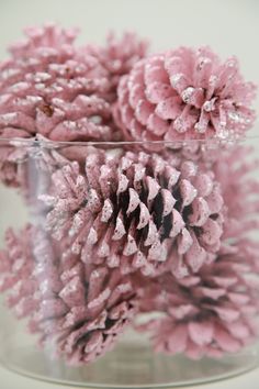 some pink pine cones are in a glass vase