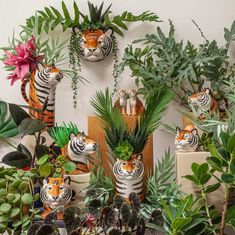 there are many different types of plants in vases on the wall, including tiger heads