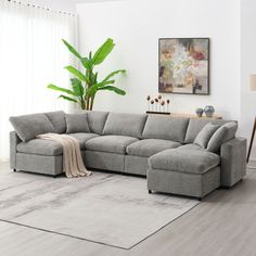 a living room with a large gray sectional couch and potted plant in the corner