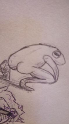 a drawing of a frog sitting on top of a piece of paper