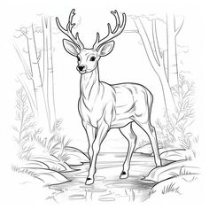 a deer is standing in the woods with trees and water behind it, coloring page