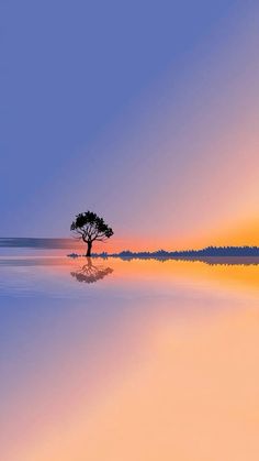 a lone tree sitting in the middle of a large body of water at sunset or dawn