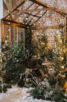 christmas trees are lined up in an indoor area with lights on the ceiling and brick walls