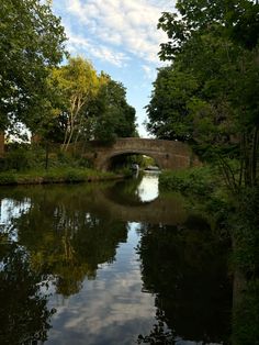 a bridge over a river surrounded by trees