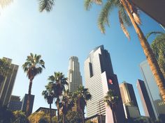 palm trees line the street in front of tall buildings and skyscrapers on a sunny day