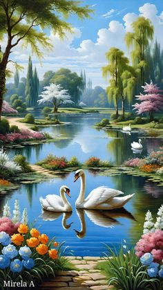 two white swans swimming in a pond surrounded by flowers