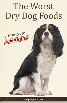 a dog sitting on top of a white and black sign with the words, the worst dry dog foods 7 brands to avoid