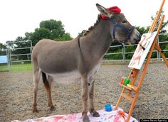 a donkey is standing next to an easel