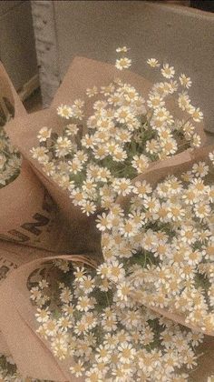 some daisies are sitting in bags on the ground