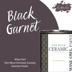 a black paint can with the words, wise owl one hour ceramic luxury interior paint