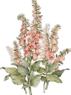 watercolor painting of pink flowers and green leaves