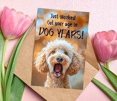 a greeting card with a dog's face and the words just worked out your age in dog years