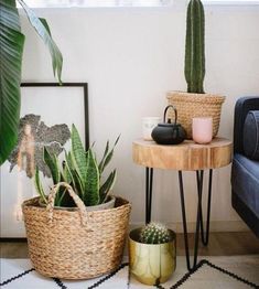 a living room with plants and pictures on the wall