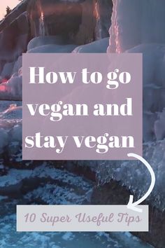 the words how to go vegan and stay vegan on top of frozen water