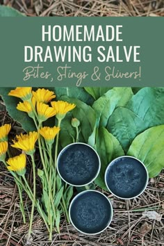 Herbal Salve Recipes, Medicinal Herbs Remedies, Homemade Salve, Drawing Salve, Home Apothecary, Medicinal Wild Plants, Diy Herbal Remedies