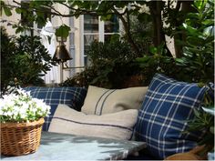 a blue and white checkered couch sitting under a tree