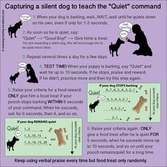 a poster with instructions on how to teach dogs