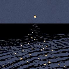 the stars are floating in the water at night