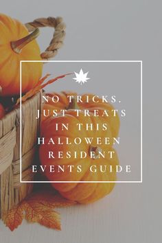 a basket filled with pumpkins sitting on top of a table