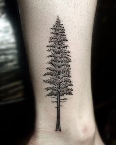 a small pine tree tattoo on the ankle with dots and lines in black ink, done by an artist