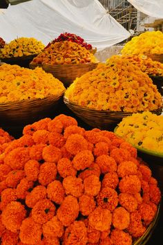 baskets filled with orange and yellow flowers on display