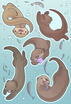 Cute Sea Otter Art, Kawaii Otter Drawing, Otter Swimming Drawing, How To Draw Otter, Otter Cute Art, Otter Doodle, Ferret Drawing