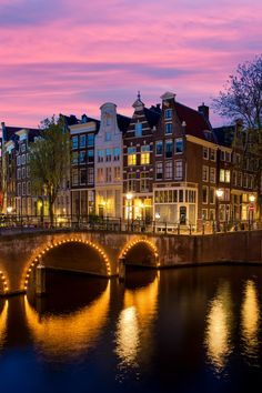 Best Amsterdam quotes and Amsterdam captions for Instagram that describe the sin city best Amsterdam Quotes, Meaningless Life, Tulip Field