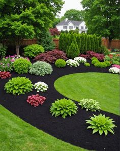 a garden with black mulch and white flowers in the center, surrounded by green grass